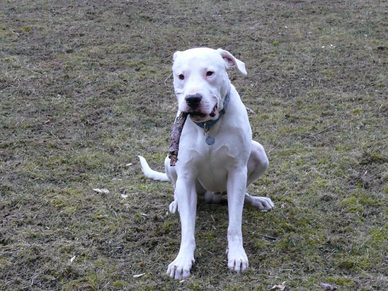 Foto: Monty