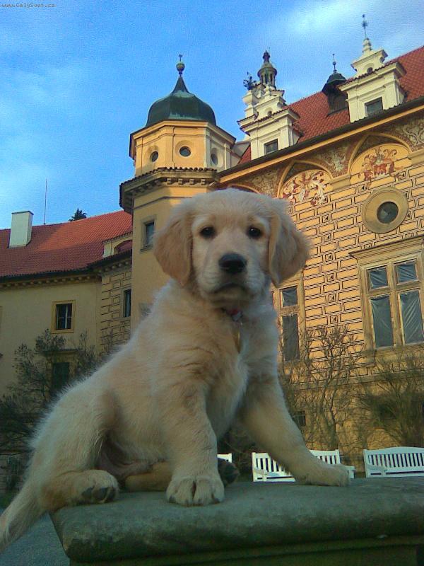 Foto: Max zahrada