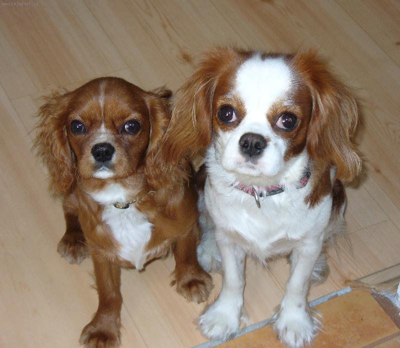 Foto: nelly a ketty