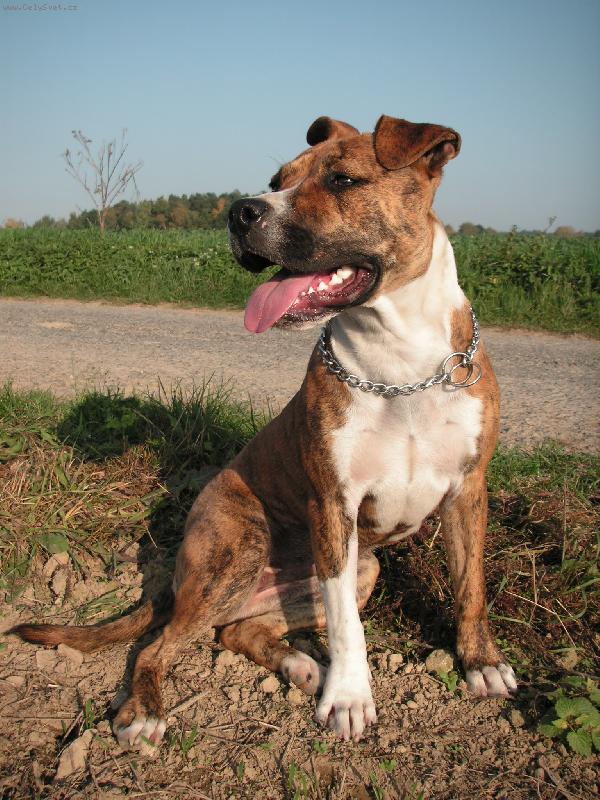 Foto: Brusyna
