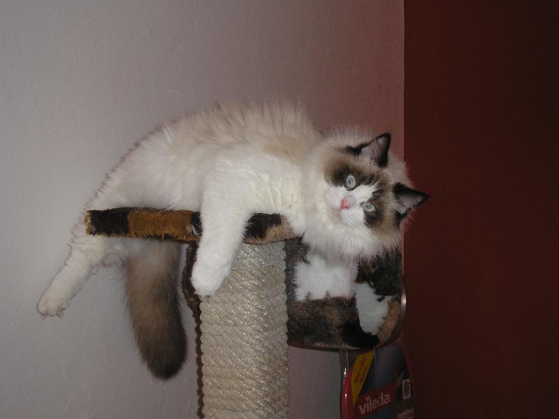 Foto: Samuel