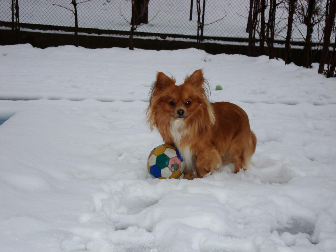Foto: Lucky-Jednou ze m� bude fotbalista!