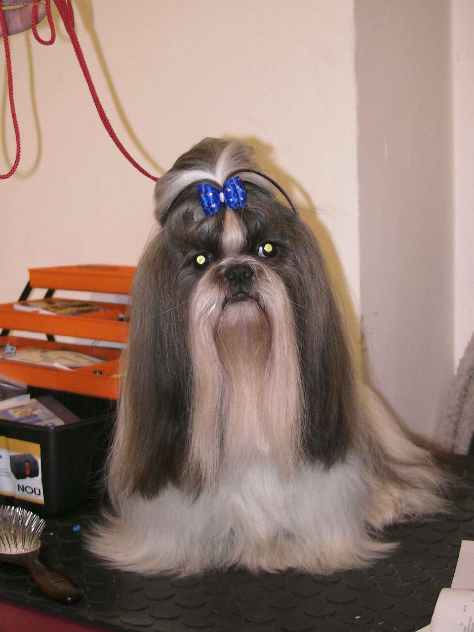 Foto: Beltine