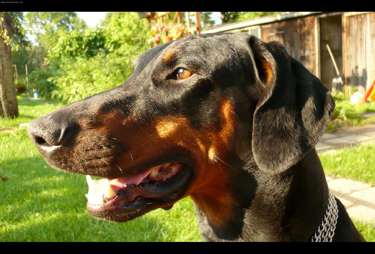 Foto: Renzo