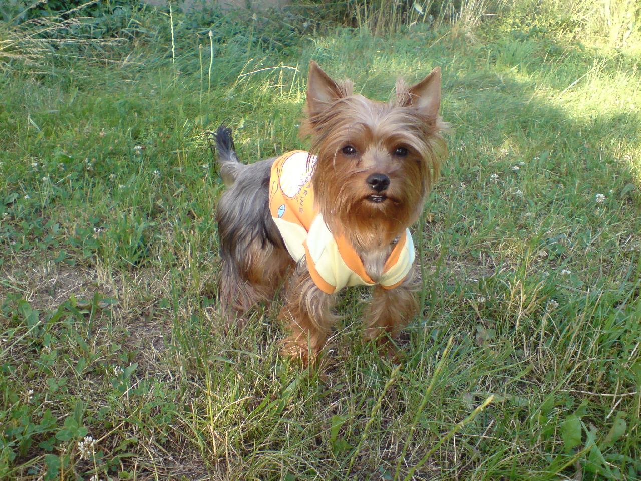 Foto: Nelli-Nell