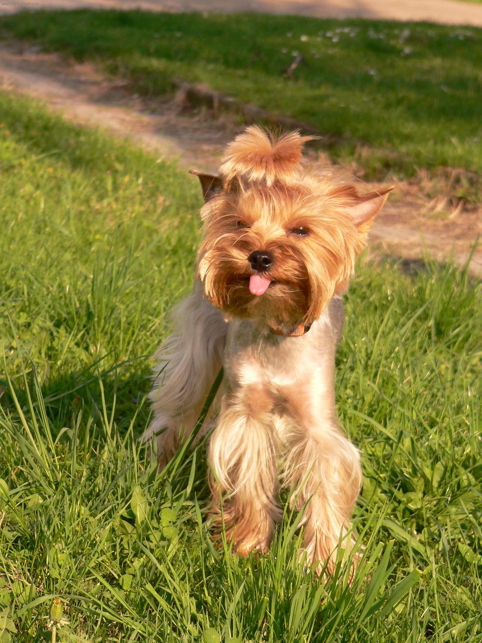 Foto: Teddy