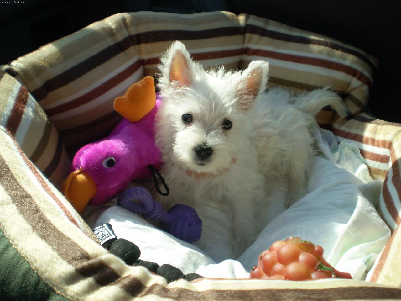 Foto: Mia