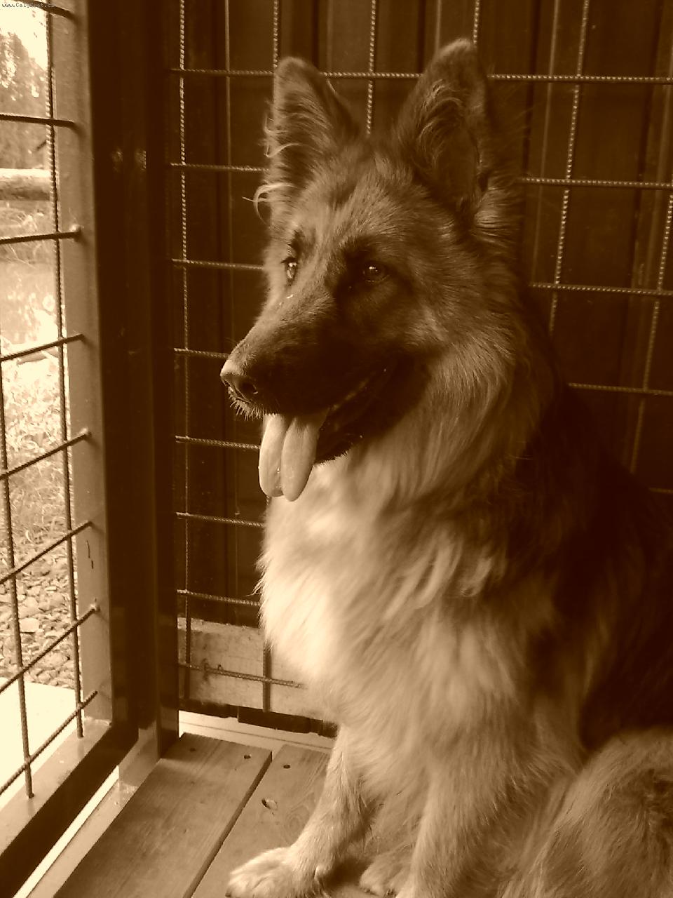Foto: Dixinka 1rok