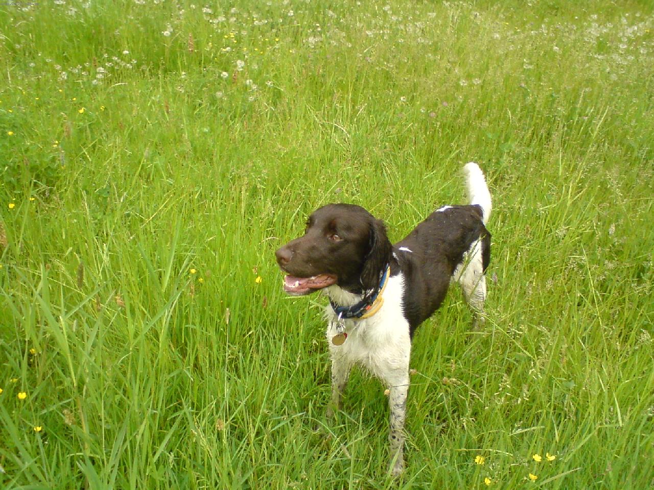 Foto: Argo - 4 roky