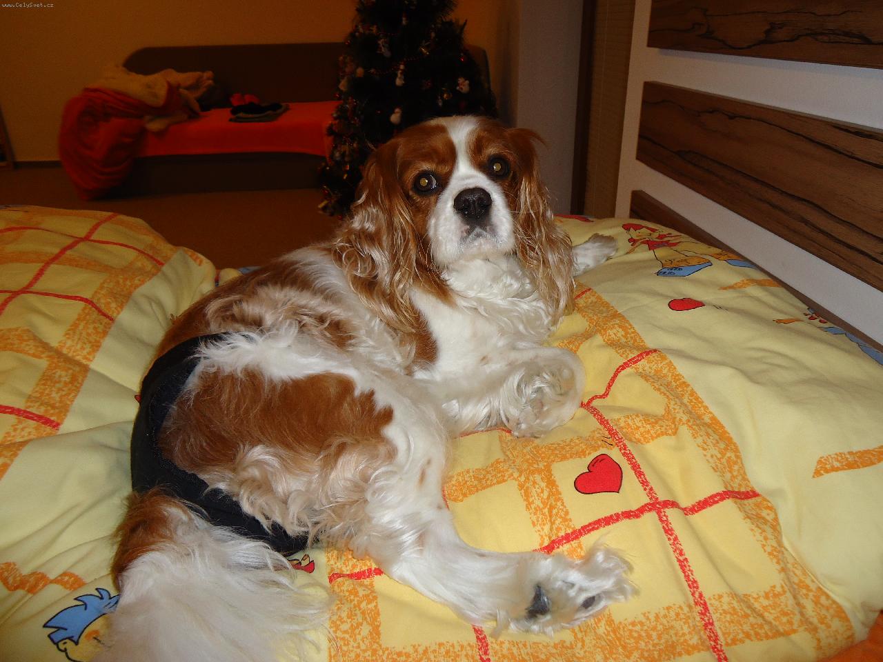 Foto: Nelinka