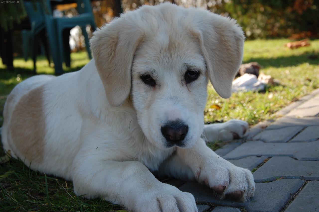 Foto: Lara