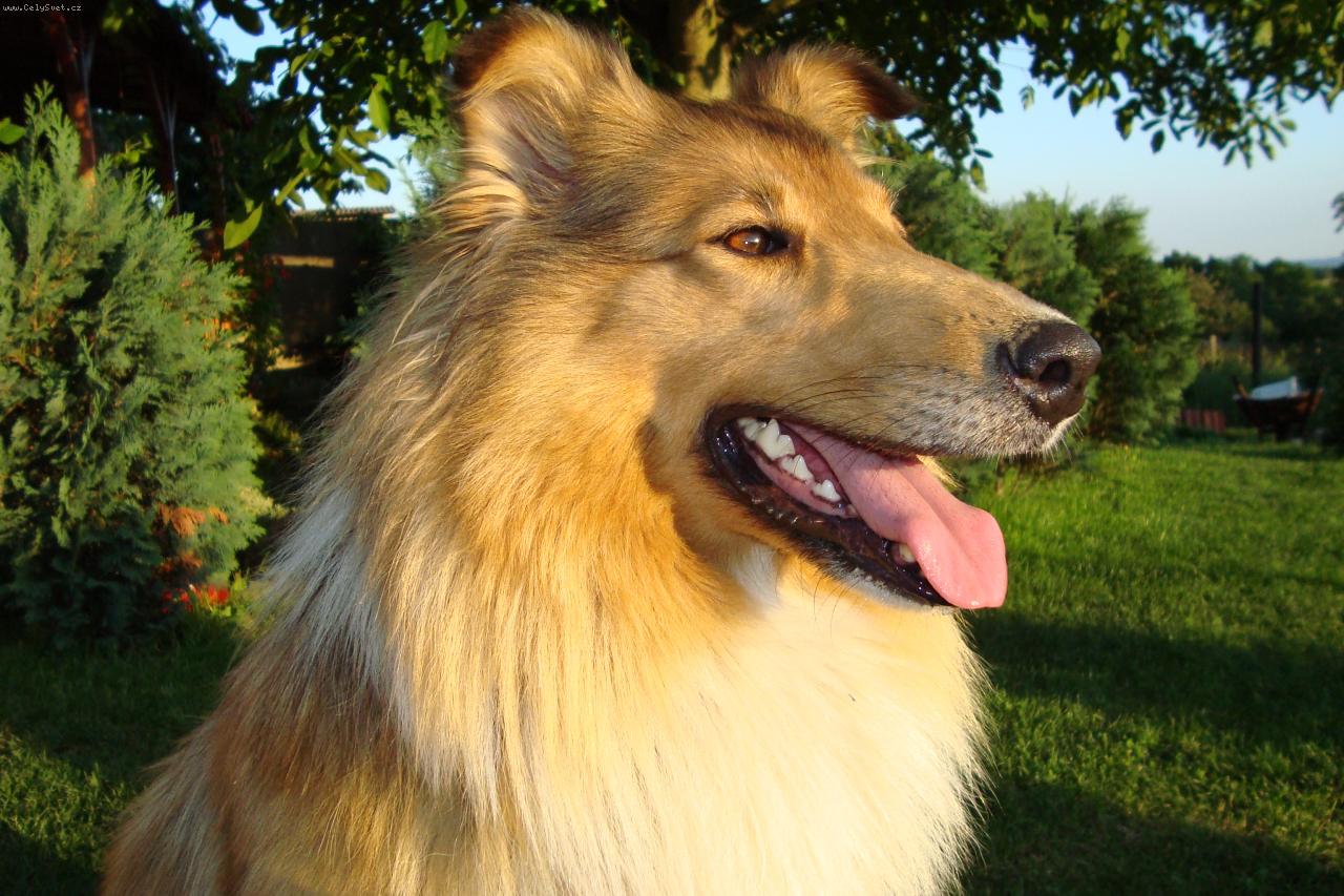 Foto: Nelinka