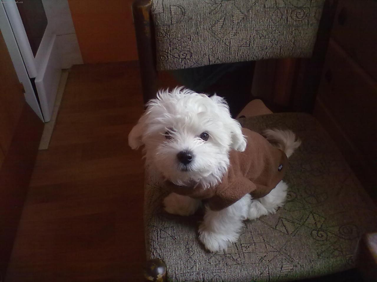 Foto: Sissi
