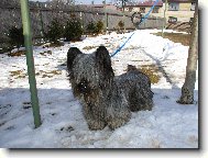 U� jdou