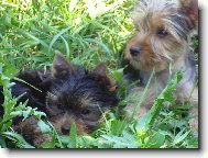 Na chv�li m�r
