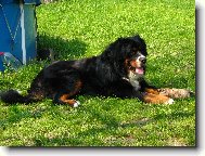 odpo�inek