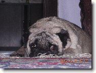 Maru�ka