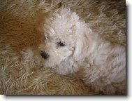 na�e Keisy