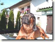 tady bydl�m j�