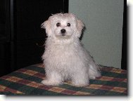 max�k