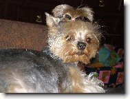 S�rinka