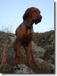 dokonal� rozhled