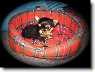 Na�e velk� ,,mali�k�\" �t�st�