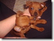 Fanny s br�kou