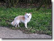 na proch�zce