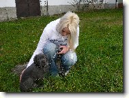 Nerou�ek a j�