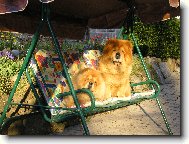 odpoledn� siesta