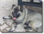 Baronek odpo��v� :)