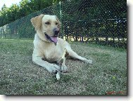odpo�inek