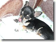 ** �iko **