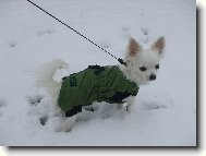 Terinka ve sn�hu