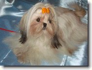 Roz�rka