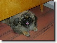 na�e Florinka
