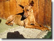 Mairra Marrieta Roz�rka