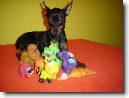 Spike ve sv� ZOO
