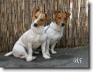 Kry�tof a Bert�k 7/08