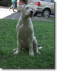 Blanca Sure�a Charismatic