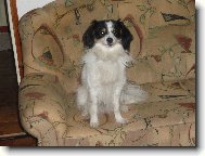 bob�k