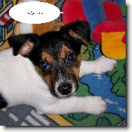 ps� miminko