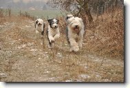 Na proch�zce