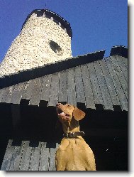 Maila z Topoln�