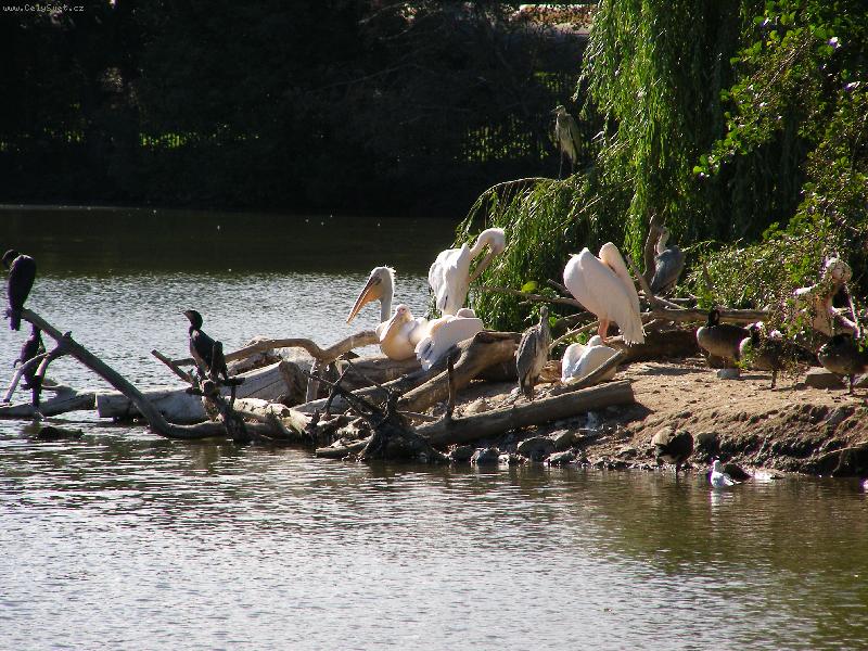 Foto: ZOO Chomutov