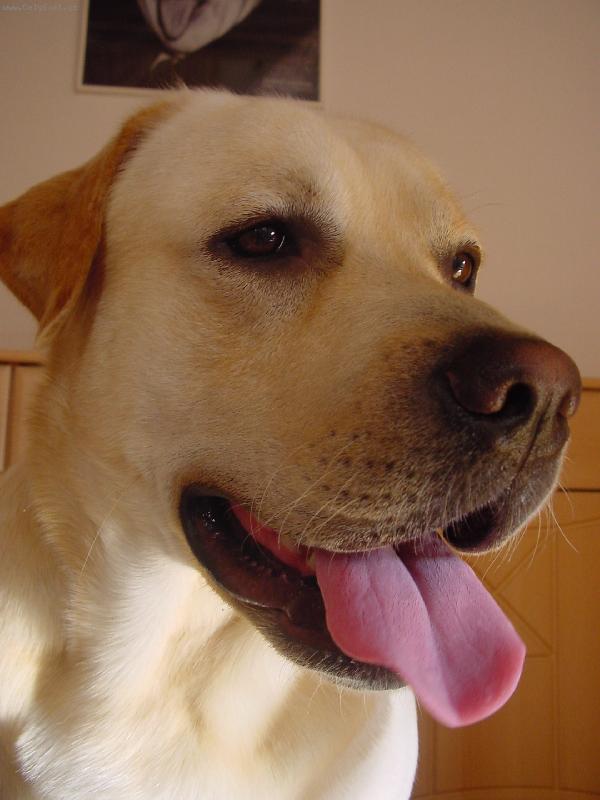 Foto: Charles