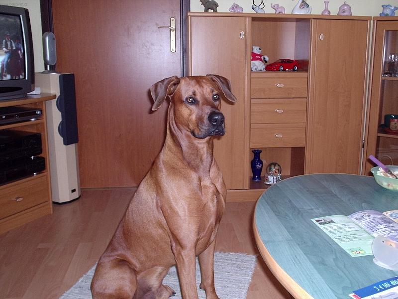 Foto: jack
