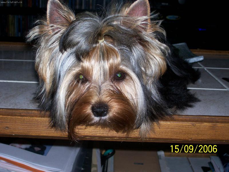 Foto: Bessynka