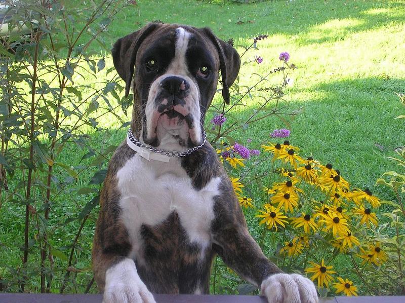 Foto: Casper